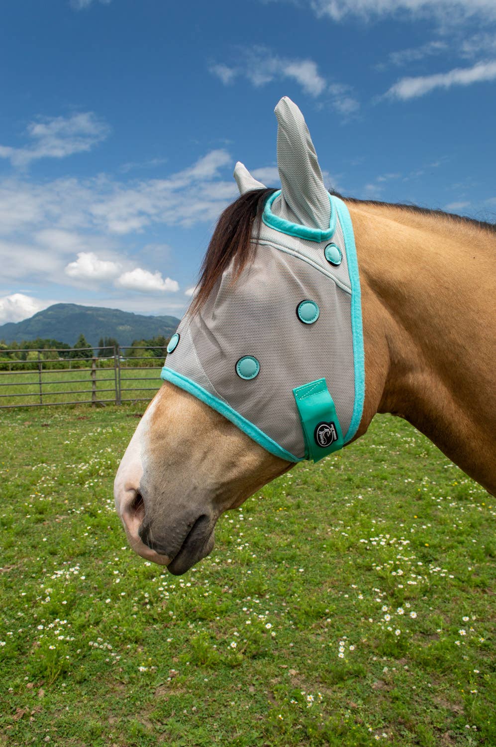 Perf Boost by Schulz Equine Magnetic Fly Mask