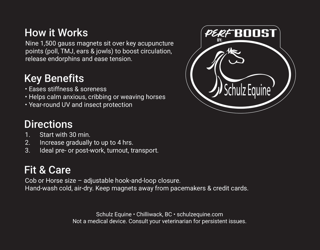 Perf Boost by Schulz Equine Magnetic Fly Mask