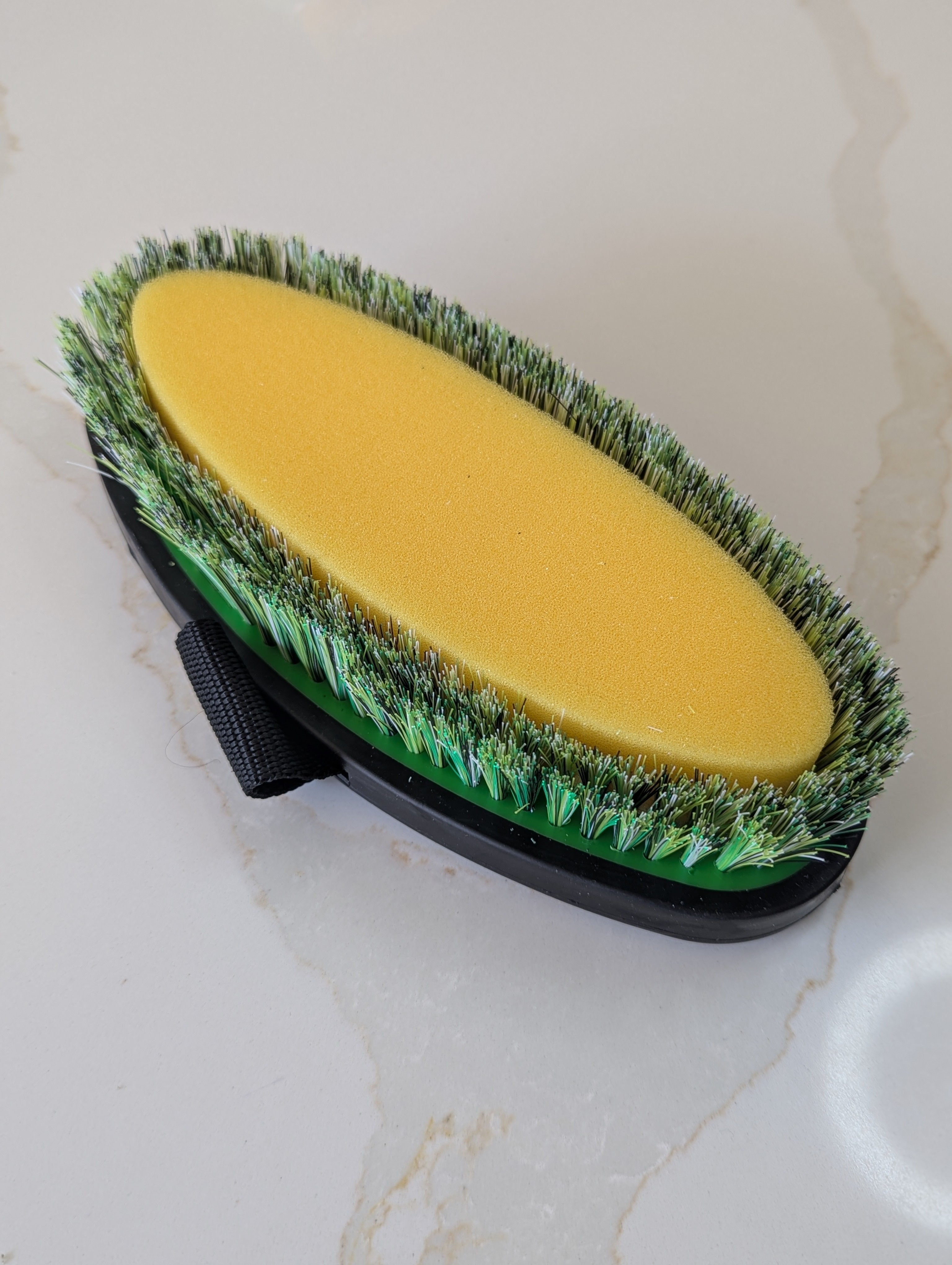 The Sponge Bush